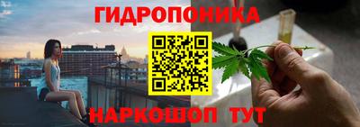 каннабис Будённовск