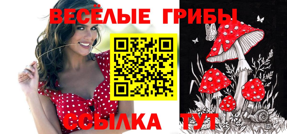Галлюциногенные грибы прущие грибы  Псилоцибиновые грибы мицелий  Вход с VPN  Бор 