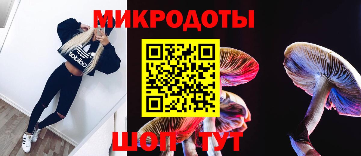 Галлюциногенные грибы Psilocybe Бор